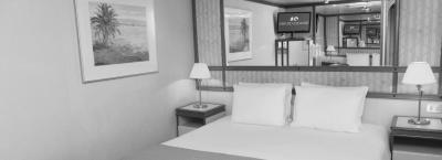 9906244/interior-star-pr1_1781071836510.jpg