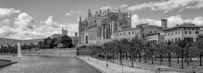 9907043/palma-de-mallorca-adobestock-189687541_1781164950677.jpeg
