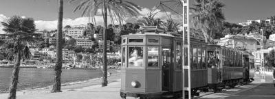 9907043/palma-de-mallorca-adobestock-1898934970_1781165039583.jpeg